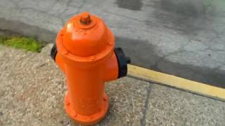 American Flow Double 4 1/2 Inch Pumper Nozzle Dry Barrel Fire Hydrant