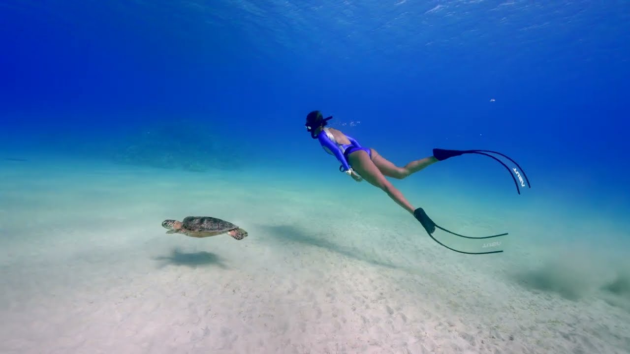 TUSA Freediving part_3