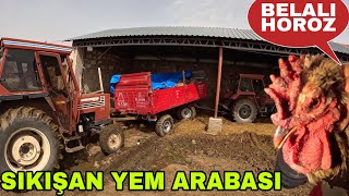 SIKIŞAN YEM ARABASINI KURTARMA !!! KARDEŞİM İÇİN SIFIRDAN BAŞLIYORUZ~HOROZ GİDİCİ