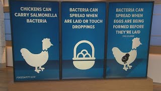 Egg Recall Hits Houston Stores What To Know About Salmonella Risk