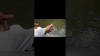 Animals Created by Devil #viralvideo