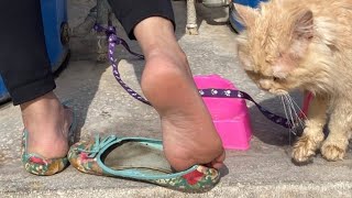 Shoeplay in extreme smelly flats | Custom videos available 