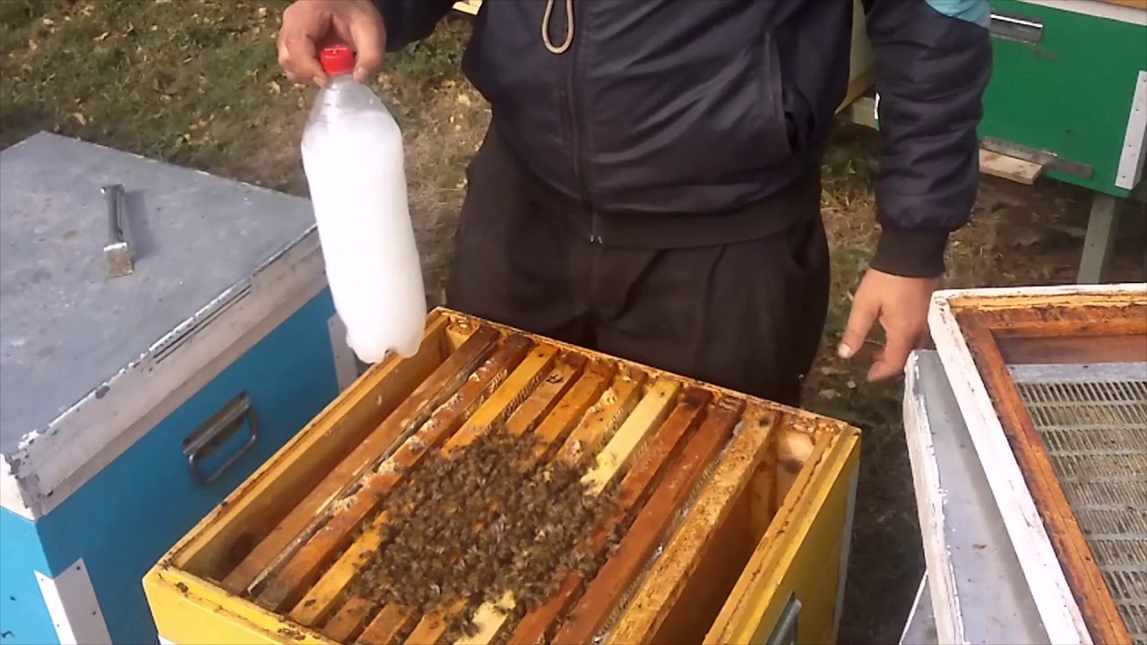 Весенняя обработка пчел от клеща