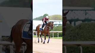 El Caballo Torpedo Anna ,La Potranca Con Más Victorias