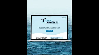 Introducing Hello Humpback