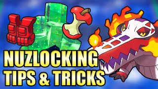 Tips & Tricks For Nuzlocking Pokémon Scarlet & Violet