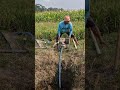 Farmer's skill in watering plants easily and quickly-Agriculture farming #shorts