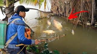 Pemburu Berani Menangkap 100 Ikan Dengan Listrik