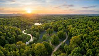 Winding River Forest Sunset 4K Screensaver – 10 Hours | Silent