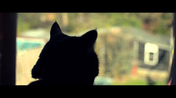 Nikon D3200 Bitrate Hack 36mbps - Quality test