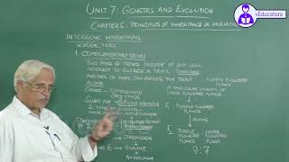 _Molecular Basis of Inheritance_2 Gene expression - translation