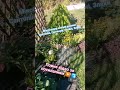 Ідея для квітника, домашній сад, home garden, Pomysły na ogród kwiatowy w domu,