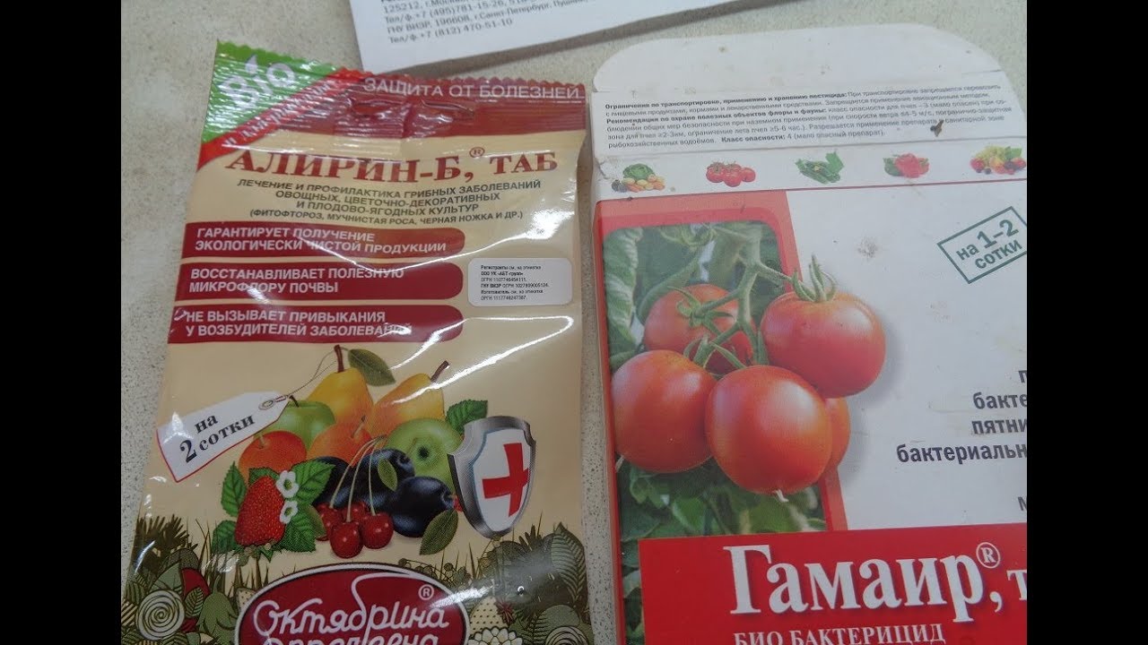 Биопрепараты от фитофторы. Таблетки от фитофторы Гамаир. Фитоверм от фитофторы помидор. Фунгициды для томатов открытого грунта от фитофторы. Фитоспорин и фитоверм. Биопрепараты от фитофторы. Таблетки от фитофторы Гамаир. Фитоверм от фитофторы помидор. Фунгициды для томатов открытого грунта от фитофторы.