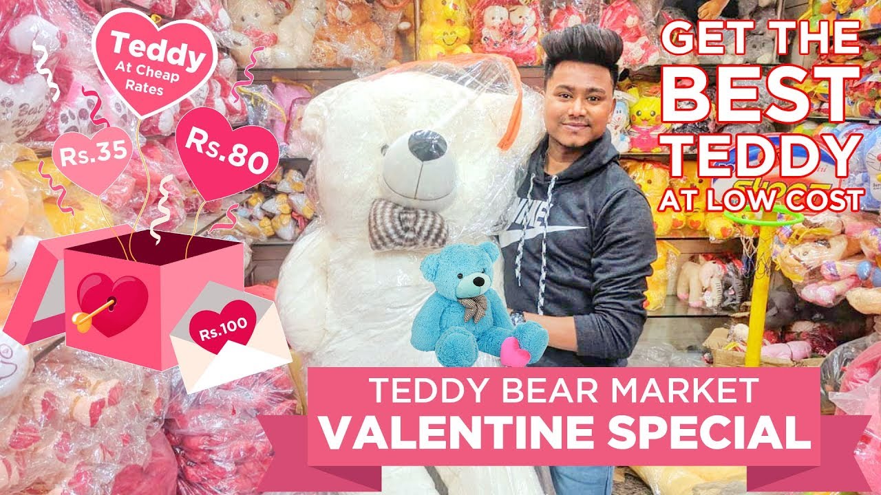 teddy cost