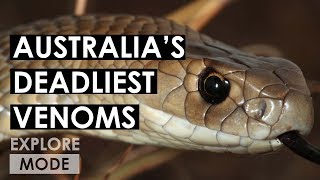 Australia’s deadliest animals | World’s Deadliest Venoms | EXPLORE MODE