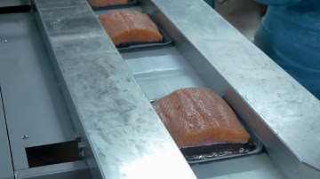 Salmon NextGen500E Ossid Packaging Seafood Industry