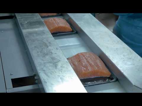 Salmon NextGen500E Ossid Packaging Seafood Industry thumbnail image
