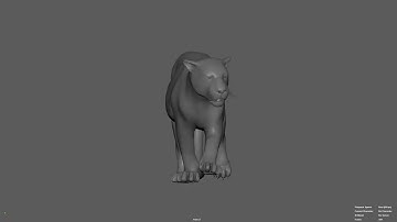 Leopard Walk Animation