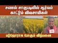 சணல் சாகுபடியில் ஆர்வம் காட்டும் விவசாயிகள் -படுஜோராக போகும் விற்பனை | Jute Cultivation | Vedaranyam