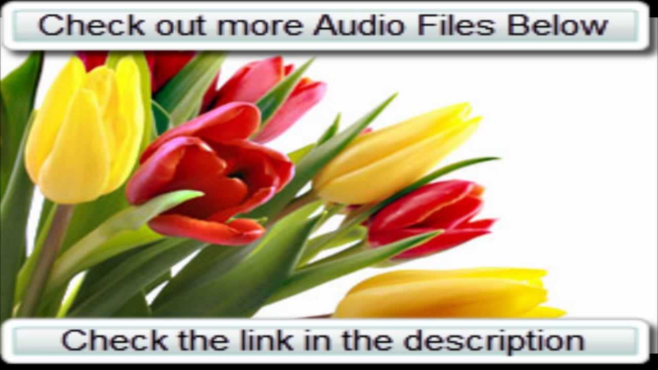 Download Royalty Free Music-SAMPLE 17