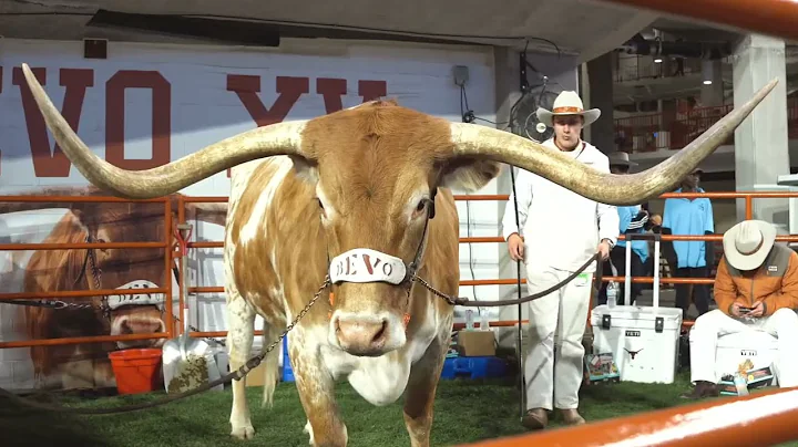 UT Austin Drone Show with FlyLight Drone Shows