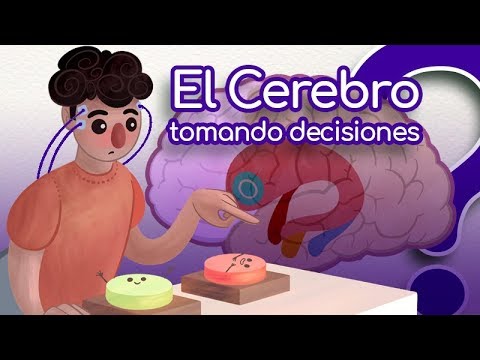 Video: Pensemos En Ello Primero, ¿o Lo Construiremos Así?