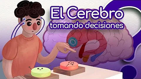 ¿Qué parte del cerebro es la honestidad?