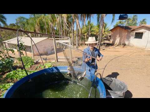 Time to take the tilapia to the reservoir