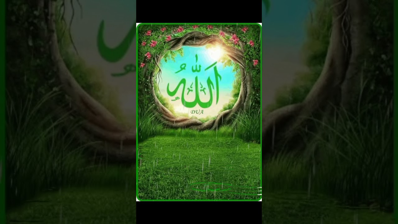 Allah☝🏻🕋💚 Sher e Arab🕋💚#allah #shorts #sherekhuda #moulaali #loveallahﷻ #ali #edit #popular #famous