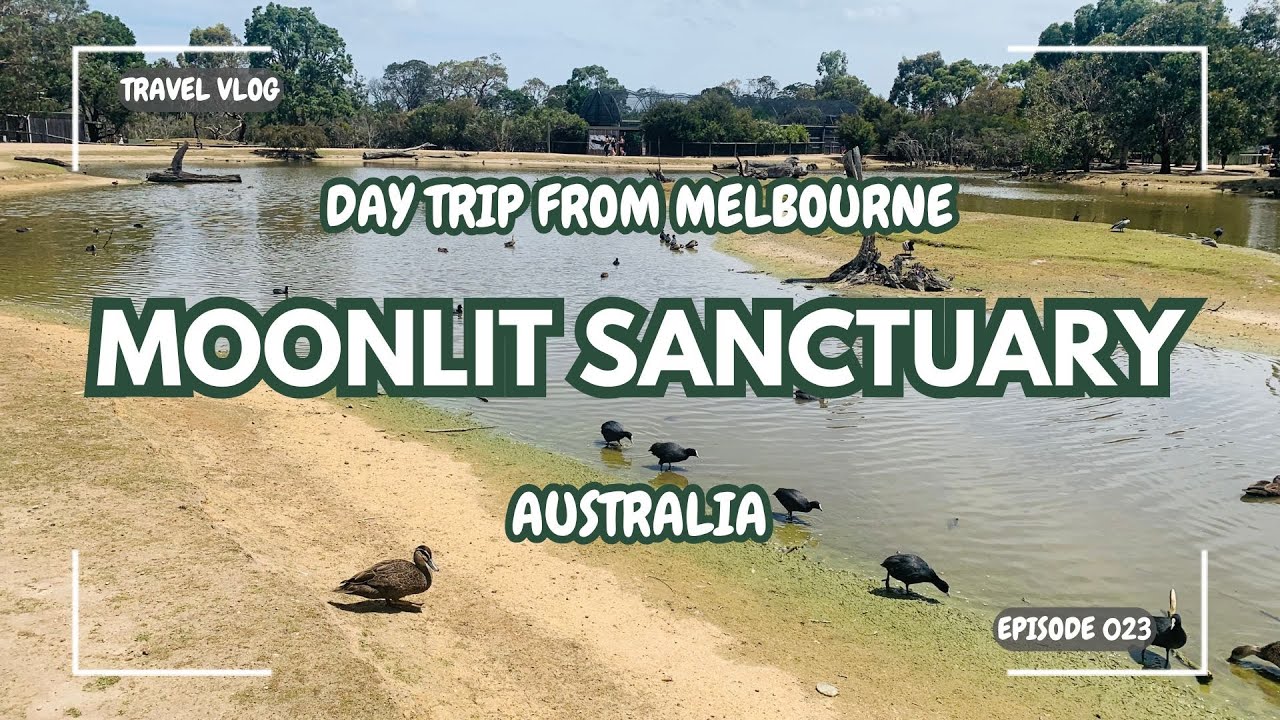 Day trip from #Melbourne | Moonlit Sanctuary | #Australia