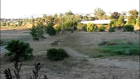 My Align Trex 450 V2 Normal Flight/Nose In Hover