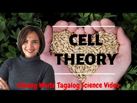 LESSON ON CELL THEORY AND FUNCTIONS OF THE CELL | IN FILIPINO