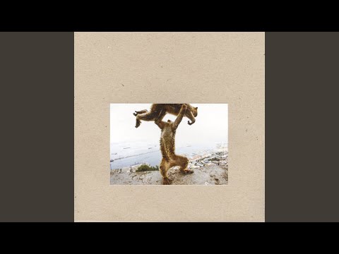 Shellac — All the Surveyors