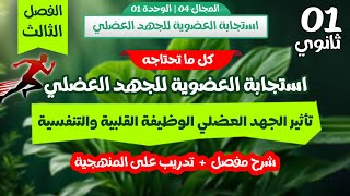 🤩واخيرا⛹️‍♂️استجابة العضوية للجهد العضلي🚴‍♀️ كل ما تحتاجه | مراجعة ممتازة للفرض《أولى ثانوي》الفصل 3