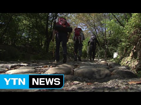 폭염 속 산행 탈진 주의...심혈관 질환자 위험 / YTN