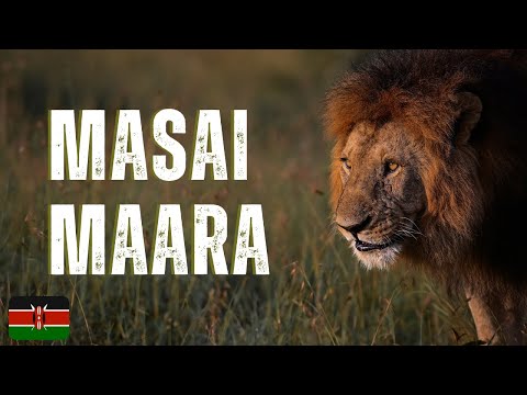 Maasai Mara Scenic