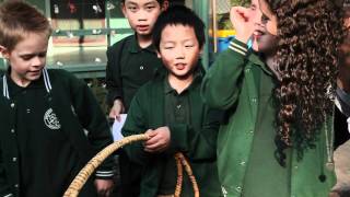 The Kitchen Garden Program (Fringe Lane episode 7)