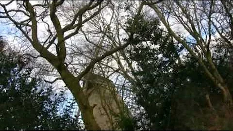 Sean Pugh Mosaic Promo