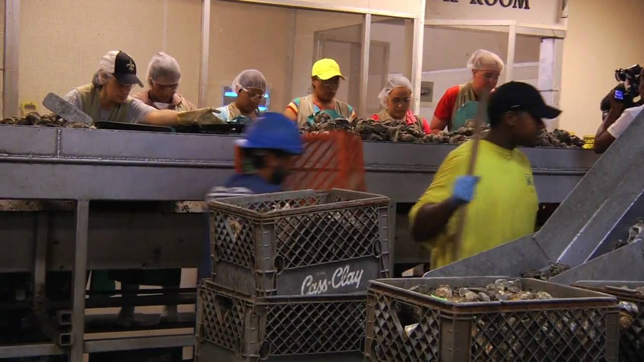 Uncertain Future: The Gulf Coast Oyster Industry