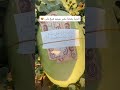 الحمد لله الدنيا بعدها بخير مادام هيج ناس موجودة الحمد لله الدنيا بعدها بخير مادام هيج ناس موجودة