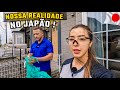 Quanto que pagamos de aluguel aqui no Japão?