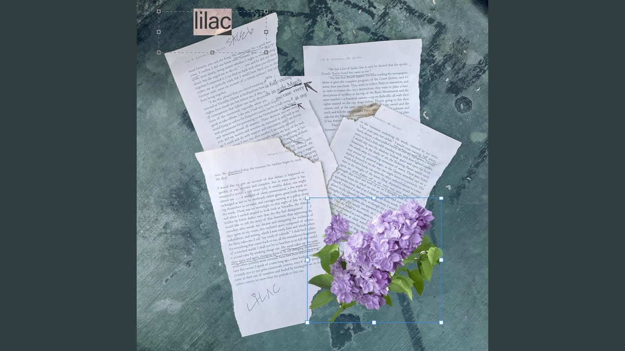 lilac YouTube