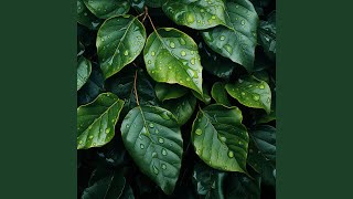 Raindrop Rhythms Study Aid