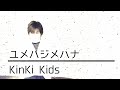 KinKi Kids / ユメハジメハナ【歌ってみた】