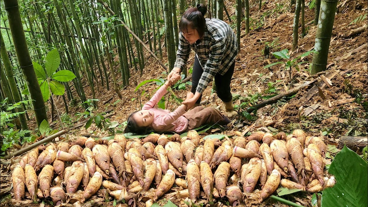 FULL VIDEO Single mother and daughter harvest bamboo shoots and pick agricultural products to sell​