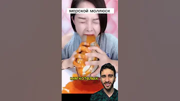 самый не приличный моллюск