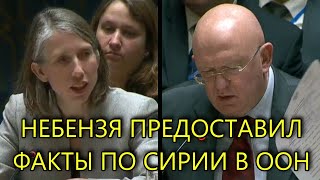 НЕБЕНЗЯ ПОСТАВИЛ НА МЕСТО ЗАПАД В ООН | СОВБЕЗ 2020