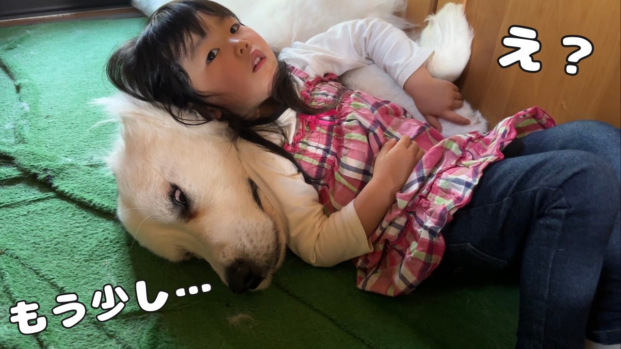 なんで？】3歳児が上に乗ってるのに寝返りを打った結果、超大型犬が