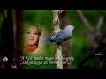 Nagyon szép dalritkaság - Cserháti Zsuzsa  -  Elszáll a kék madár