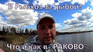 Рыбалка после запуска рыбы в рыбхозе &quot;Раково&quot;